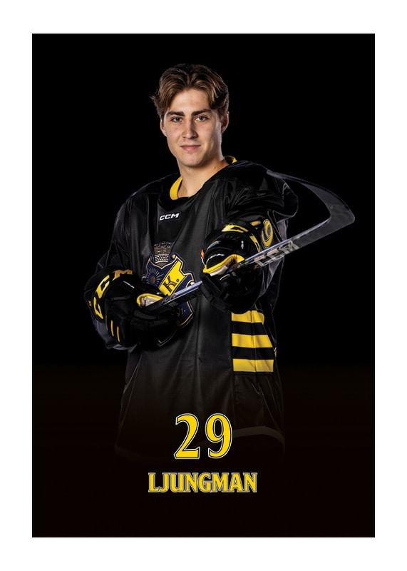 Poster Daniel Ljungman #29 AIK Hockey 2024/2025