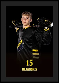 Darels Uljanskis #15 AIK Hockey 2024/2025-0