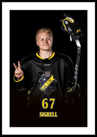 Elliot Sigrell #67 AIK Hockey 2024/2025-2