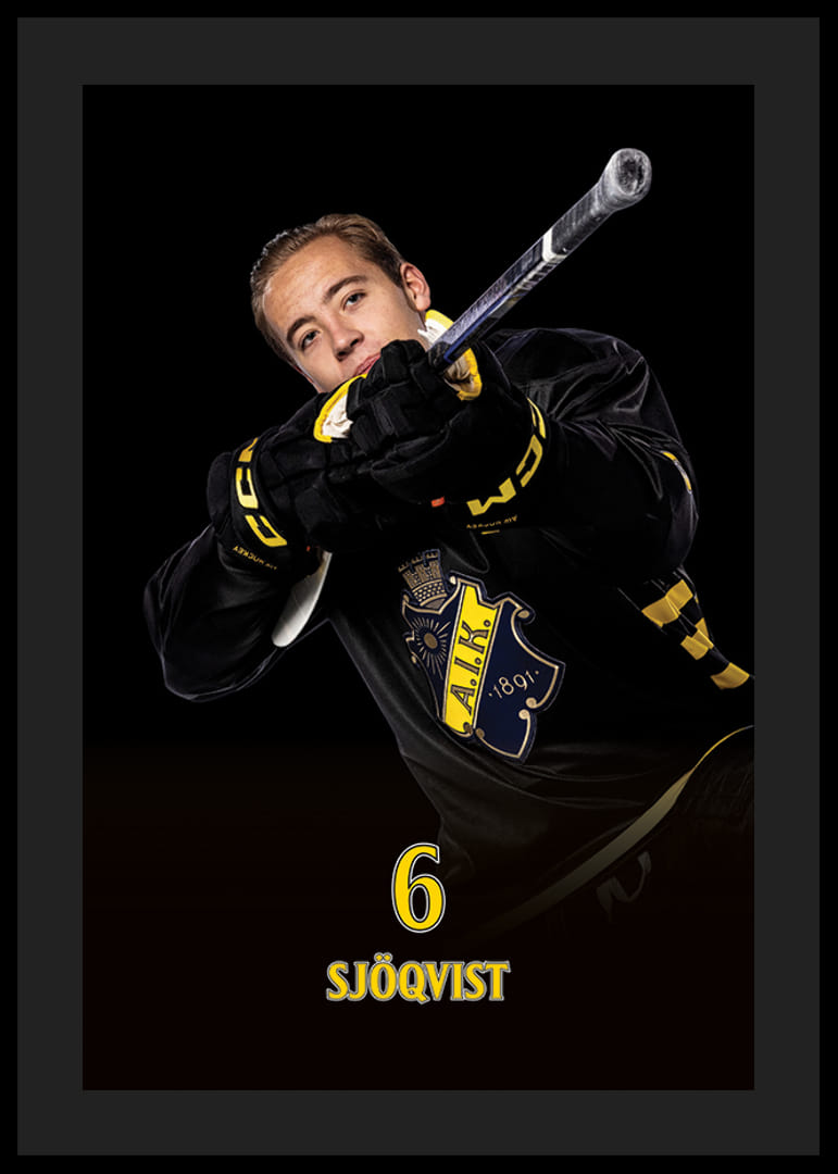 Gustav Sjöqvist #6 AIK Hockey 2024/2025-12