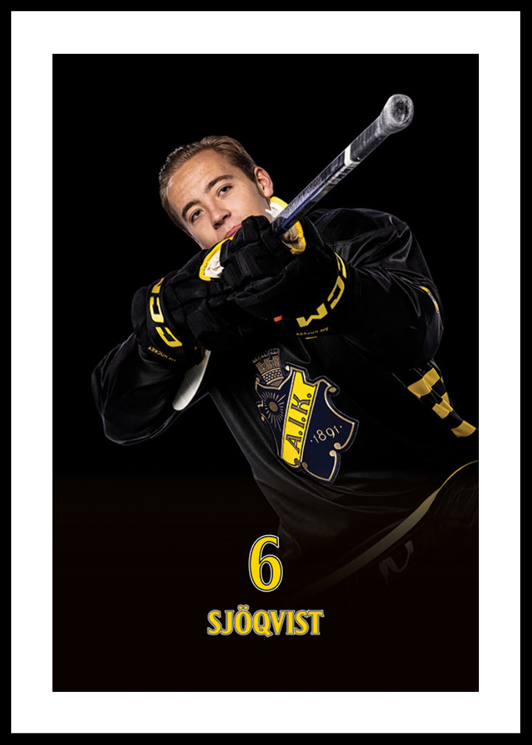 Gustav Sjöqvist #6 AIK Hockey 2024/2025-12
