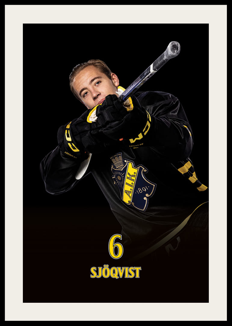 Gustav Sjöqvist #6 AIK Hockey 2024/2025-12