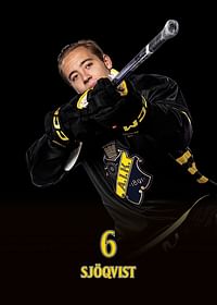 Gustav Sjöqvist #6 AIK Hockey 2024/2025-3