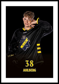 Harry Ahlberg #38 AIK Hockey 2024/2025-2