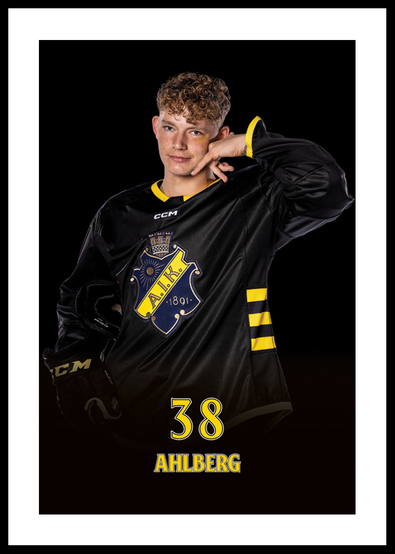 Harry Ahlberg #38 AIK Hockey 2024/2025-12