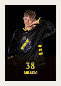 Harry Ahlberg #38 AIK Hockey 2024/2025-5