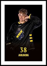 Harry Ahlberg #38 AIK Hockey 2024/2025-0