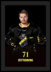 Lukas Zetterberg #71 AIK Hockey 2024/2025-0