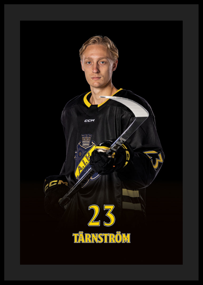 Oliver Tärnström #23 AIK Hockey 2024/2025-12