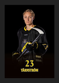 Oliver Tärnström #23 AIK Hockey 2024/2025-1