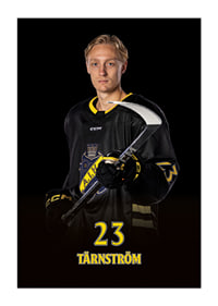 Oliver Tärnström #23 AIK Hockey 2024/2025-3