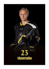 Oliver Tärnström #23 AIK Hockey 2024/2025-3