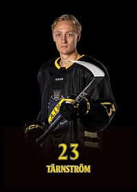 Oliver Tärnström #23 AIK Hockey 2024/2025-2