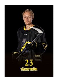 Oliver Tärnström #23 AIK Hockey 2024/2025-1