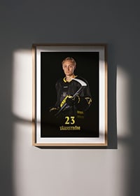 Oliver Tärnström #23 AIK Hockey 2024/2025-8