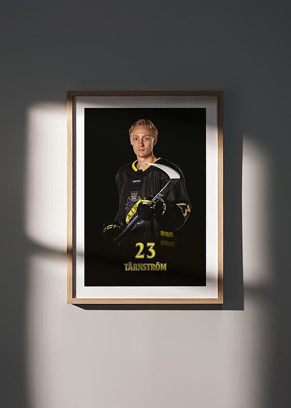 Oliver Tärnström #23 AIK Hockey 2024/2025-12