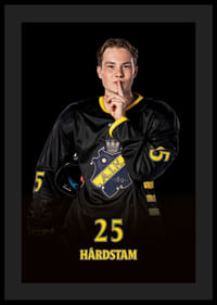 Theo Hårdstam #25 AIK Hockey 2024/2025-0