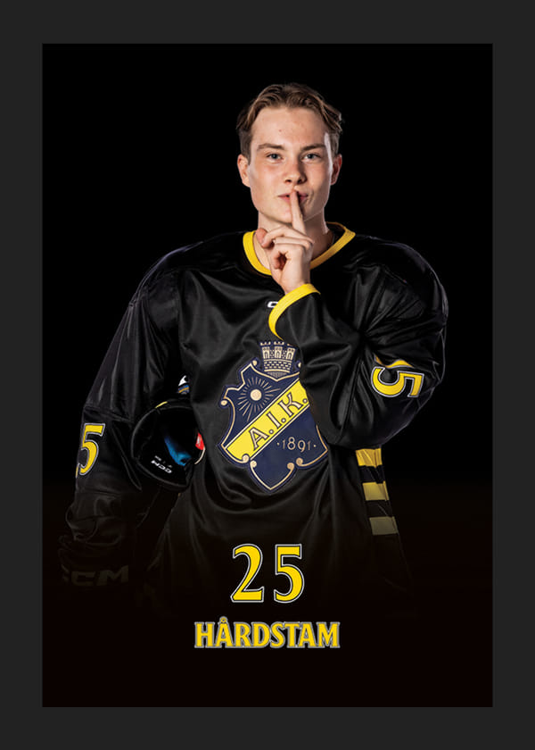 Poster Theo Hårdstam #25 AIK Hockey 2024/2025