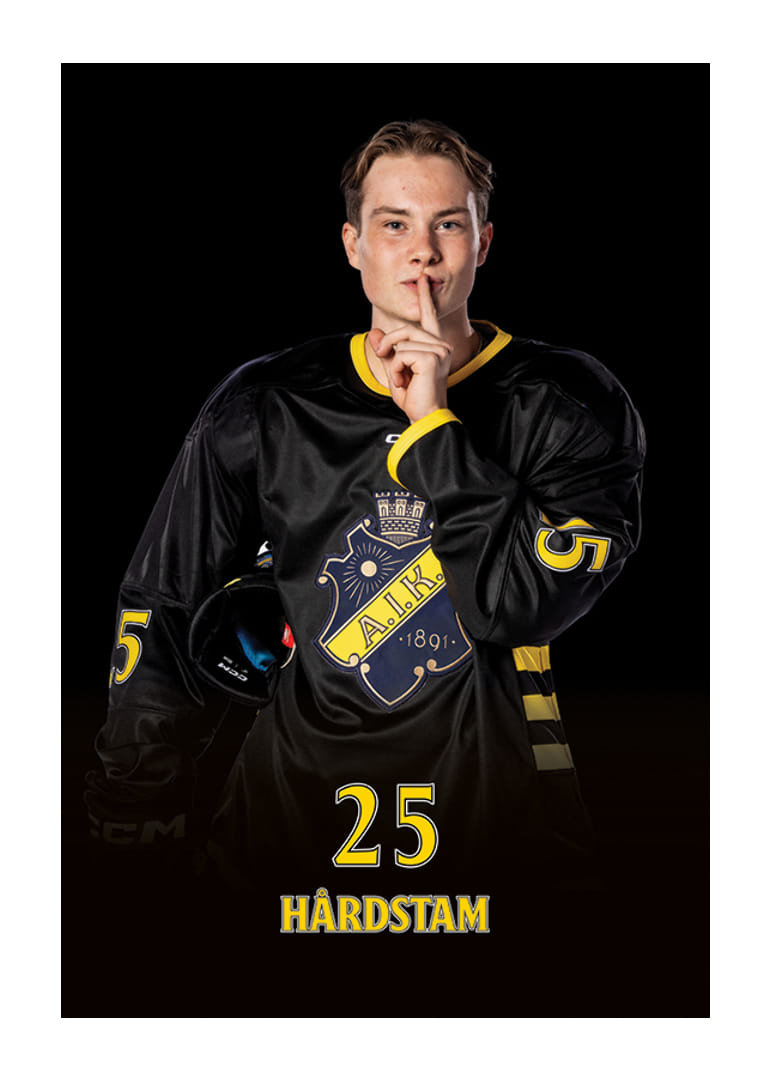 Theo Hårdstam #25 AIK Hockey 2024/2025-12