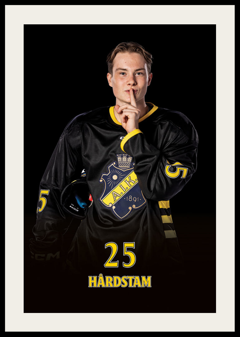 Theo Hårdstam #25 AIK Hockey 2024/2025-12