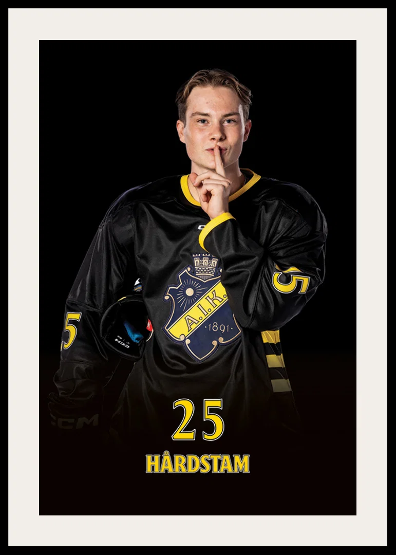 Theo Hårdstam #25 AIK Hockey 2024/2025-12