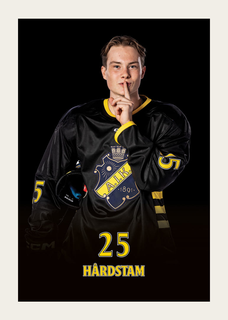 Theo Hårdstam #25 AIK Hockey 2024/2025-12
