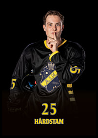 Theo Hårdstam #25 AIK Hockey 2024/2025-6