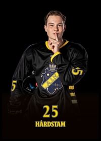 Theo Hårdstam #25 AIK Hockey 2024/2025-2