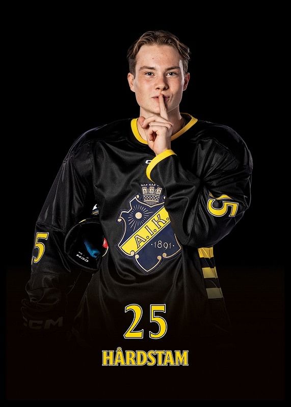 Theo Hårdstam #25 AIK Hockey 2024/2025-12