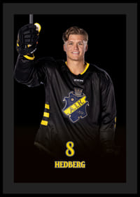Tom Hedberg #8 AIK Hockey 2024/2025-0