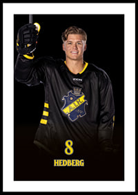 Tom Hedberg #8 AIK Hockey 2024/2025-2