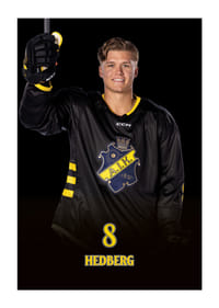 Tom Hedberg #8 AIK Hockey 2024/2025-3