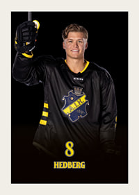 Tom Hedberg #8 AIK Hockey 2024/2025-5