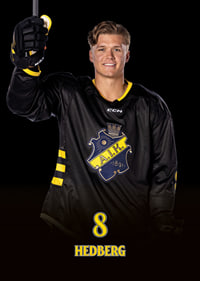 Tom Hedberg #8 AIK Hockey 2024/2025-7
