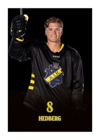 Tom Hedberg #8 AIK Hockey 2024/2025-1