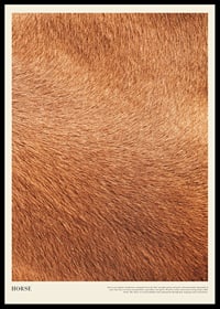Poster with a close-up of the horse's fur-0