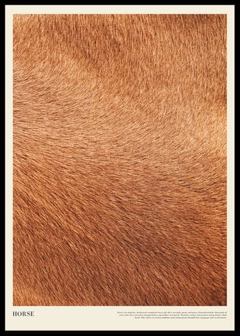 Poster Horse Print
