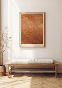 Poster with a close-up of the horse's fur-2