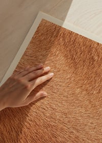 Poster with a close-up of the horse's fur-3
