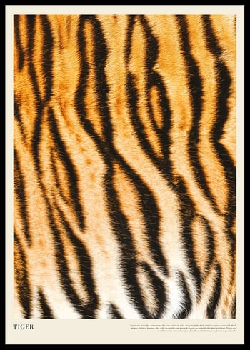 Affiche Tiger Print