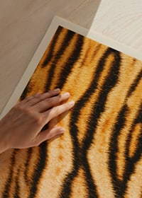 Póster con piel de tigre.-3