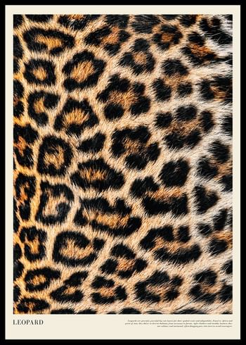 Plakāts Leopard Print