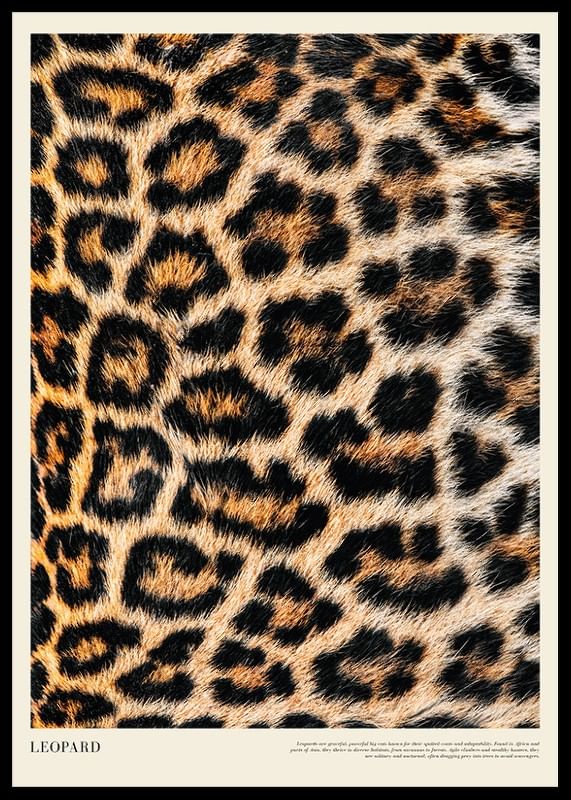 Poster cu imprimeu leopard-12