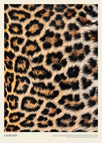 Plakat med leopardtrykk-1