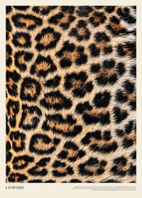 Poster cu imprimeu leopard-1