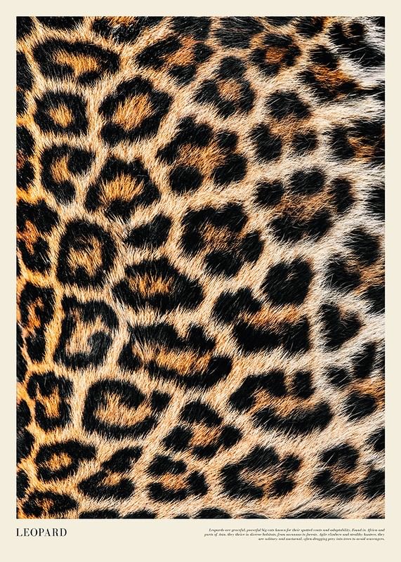Poster cu imprimeu leopard-12