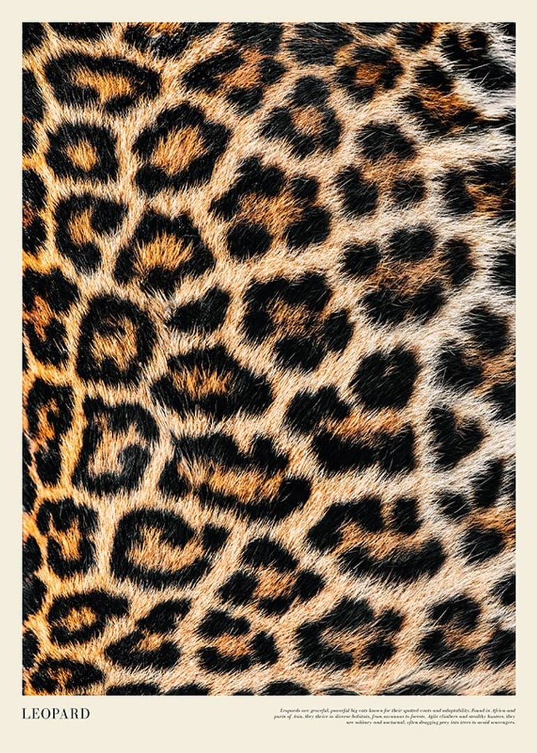 Leopard Print Poster | Dieren | Gallerix.be