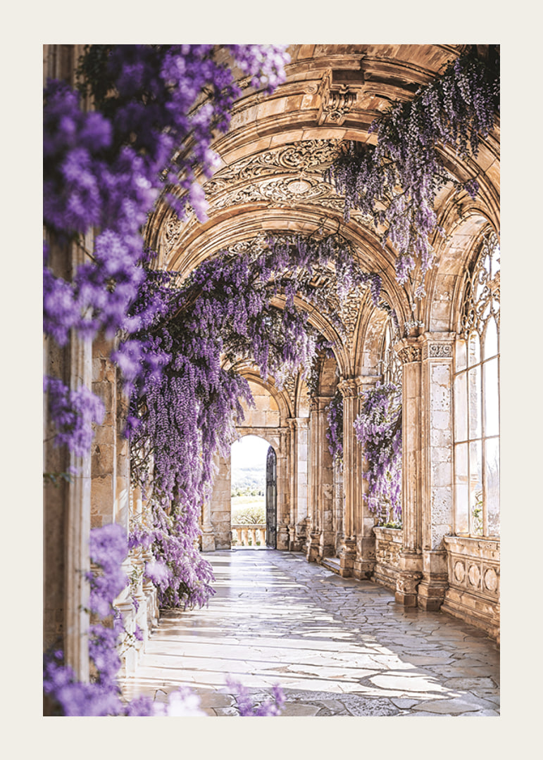 Poster com corredor coberto de flores roxas-12