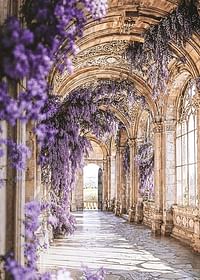 Poster cu un coridor acoperit cu flori violet-3