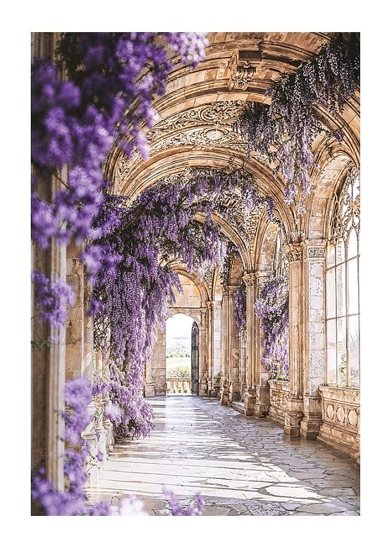 Poster cu un coridor acoperit cu flori violet-12
